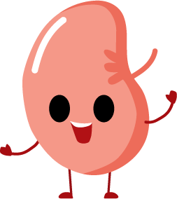 Oxalate kidney mascot